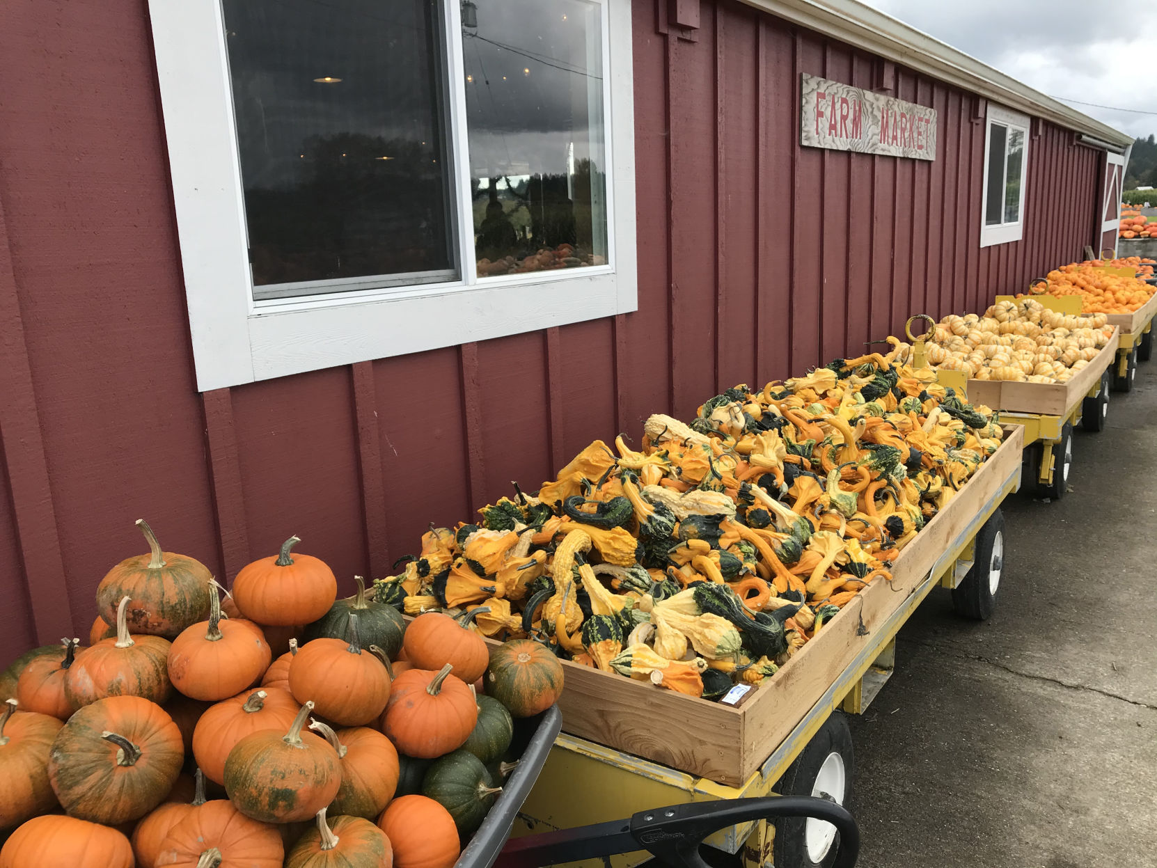 Pumpkins